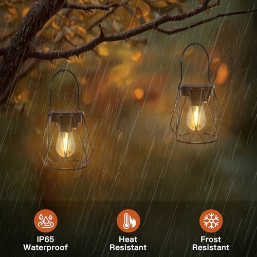 Zwei Laternen hängen an einem Ast im Regen mit wetterfesten Symbolen unten.